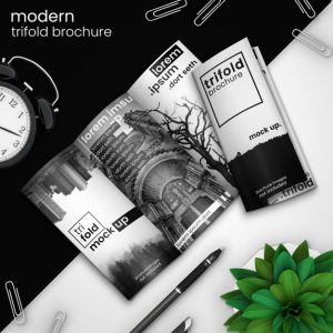 Read more about the article קורס עיצוב גרפי ומולטימדיה