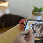 ui ux לימוד בצפון